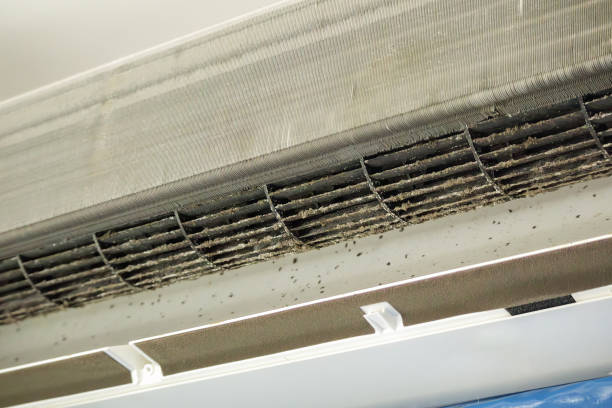 Best Home Air Vent Cleaning  in Herculaneum, MO