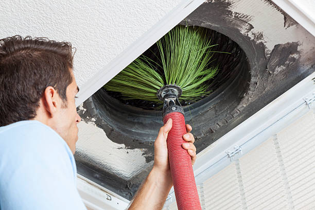 Best Air Vent Cleaning Services  in Herculaneum, MO
